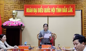 Ý kiến cử tri: Xây dựng và phát triển văn hóa đáp ứng yêu cầu phát triển bền vững