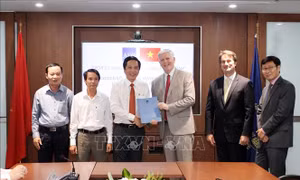 Thúc đẩy tăng trưởng toàn diện tại các đô thị loại hai ở Việt Nam