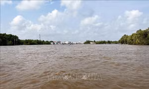 Tìm thấy thi thể bé trai 3 tuổi bị mất tích trên sông Cà Mau