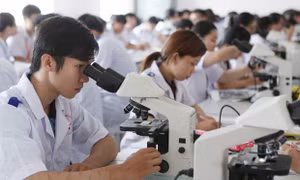 Giáo dục Cần Thơ đẩy mạnh mô hình 'đào tạo theo đơn đặt hàng'- Bài 1: Nhận diện các trở lực
