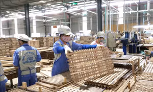 Thương mại Việt Nam - Thuỵ Sĩ vẫn còn nhiều dư địa phát triển