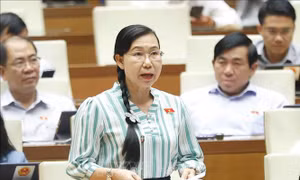 Kỳ họp thứ 6, Quốc hội khóa XV: Hiện đại hóa các lực lượng bảo đảm trật tự an toàn giao thông