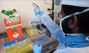Biến thể thứ hai của virus SARS-CoV-2 liên quan tới những người từng ở Nam Phi