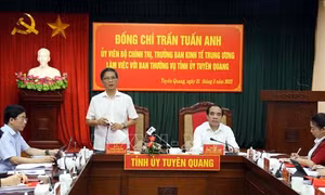Tập trung tháo gỡ vướng mắc, nâng cao hiệu quả bảo vệ và phát triển rừng