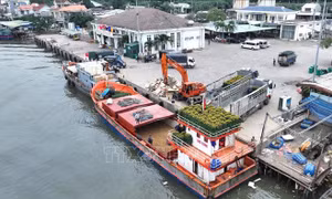 Vận chuyển hàng hóa phục vụ người dân Lý Sơn đón Tết