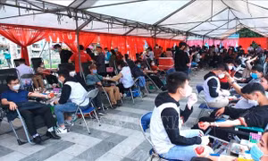 Ngày hội hiến máu 'Giọt hồng trên miền đá'