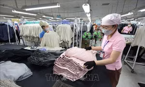 Thương mại Việt Nam - Nhật Bản lần đầu vượt mốc 50 tỷ USD