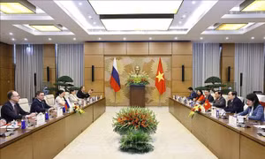Chủ tịch Quốc hội Trần Thanh Mẫn tiếp Phó Chủ tịch thứ nhất Hội đồng Liên bang Quốc hội Nga