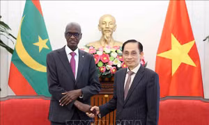 Việt Nam luôn trân trọng quan hệ hữu nghị, truyền thống với các quốc gia châu Phi