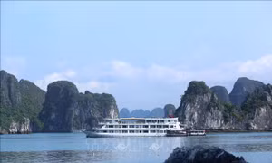 Quảng Ninh sẽ khai thác 35 sản phẩm mới, phấn đấu đón 19 triệu lượt khách 