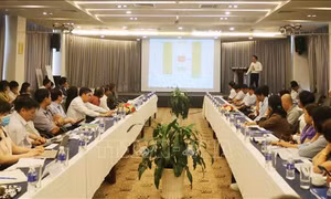 Tạo dựng hệ sinh thái cho ngành cà phê