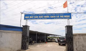 Phản hồi thông tin của TTXVN về nhà máy nước chưa hoàn thiện thủ tục đã đi vào hoạt động