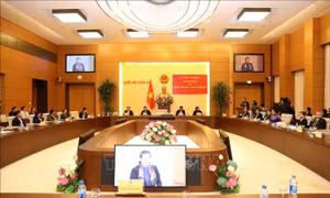 Phối hợp tham mưu, tổ chức thực hiện chính sách dân tộc tại các tỉnh phía Bắc