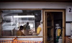 LHQ nỗ lực ngăn chặn dịch bệnh Ebola - Dấu hiệu dịch lan mạnh tại CHDC Congo