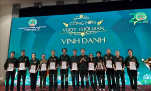 Phát huy vai trò của cựu thanh niên xung phong trong phát triển kinh tế - xã hội