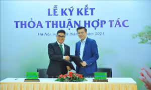 Hợp tác triển khai sáng kiến trồng mới 1 tỷ cây xanh