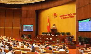 Thông cáo báo chí số 13, Kỳ họp thứ 9, Quốc hội khóa XIV