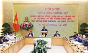 Thủ tướng chủ trì hội nghị tháo gỡ khó khăn, thúc đẩy xuất khẩu lâm, thủy sản