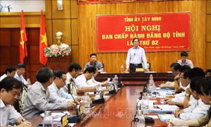 Tây Ninh: Tập trung chỉ đạo tổ chức thành công đại hội đảng bộ các cấp