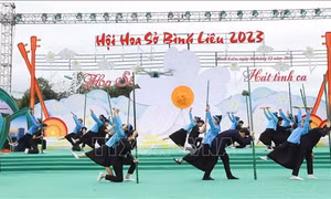 Về Bình Liêu nghe hoa sở 'hát' tình ca