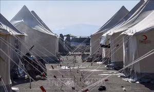 Động đất tại Thổ Nhĩ Kỳ và Syria: NATO chuyển lều bạt dã chiến tới Thổ Nhĩ Kỳ