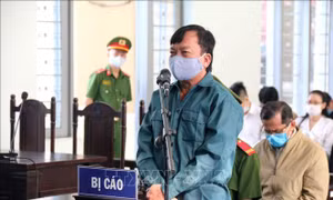 Phúc thẩm vụ án vi phạm quản lý đất đai tại thành phố Phan Thiết 