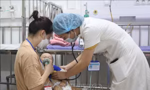 Chủ động phòng bệnh do virus Adeno trong mùa du lịch, nghỉ hè