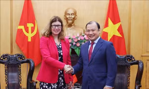Việt Nam - Liên hợp quốc đẩy mạnh hoạt động nghiên cứu và tư vấn chính sách về quyền trẻ em