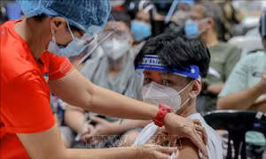 Toàn thế giới đã ghi nhận 254,18 triệu ca nhiễm virus SARS-CoV-2