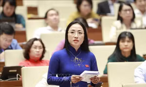 Quy định chặt chẽ kinh doanh bất động sản gắn với quy hoạch sử dụng đất
