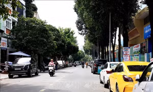 TP Hồ Chí Minh dự kiến thu hơn 1.500 tỷ đồng/năm từ phí lòng đường, hè phố