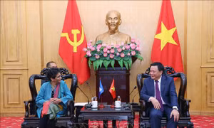 Tăng cường hợp tác thúc đẩy quản trị bao trùm, phát triển bền vững