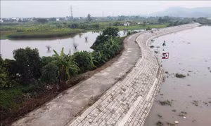 An toàn đê điều mùa mưa bão - Bài 1: Nỗ lực nâng cấp hệ thống đê điều