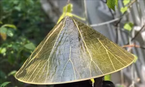 Festival Nghề truyền thống Huế 2019 tôn vinh 'Tinh hoa nghề Việt'