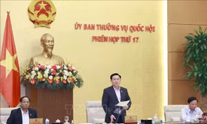 Sử dụng hiệu quả nguồn vốn cho 3 Chương trình mục tiêu quốc gia
