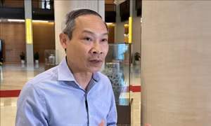 Cơ hội cho doanh nghiệp nhỏ và vừa lớn mạnh