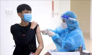 Quảng Trị xử lý các ổ bệnh phức tạp, hạn chế lây lan