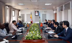 Phó Chủ tịch nước Võ Thị Ánh Xuân hội kiến Chủ tịch Quốc hội Uganda Anita Annet Among