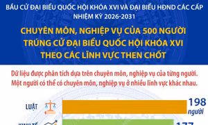 Chuyên môn của 500 người trúng cử đại biểu Quốc hội theo các lĩnh vực then chốt