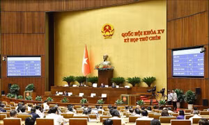 Kỳ họp thứ 9, Quốc hội khóa XV: Thí điểm Viện Kiểm sát nhân dân khởi kiện vụ án dân sự để bảo vệ lợi ích công và nhóm dễ bị tổn thương 