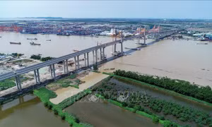 Hoạt động cả tháng, đã bắt đầu thu phí, cầu Bạch Đằng và cao tốc ngàn tỷ vẫn 'tối um'