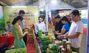 Khai mạc Hội chợ Thương mại quốc tế vùng Tây Bắc - Điện Biên