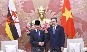 Chủ tịch Quốc hội Trần Thanh Mẫn hội kiến Quốc vương Brunei