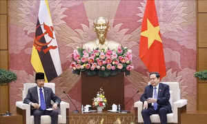 Chủ tịch Quốc hội Trần Thanh Mẫn hội kiến Quốc vương Brunei