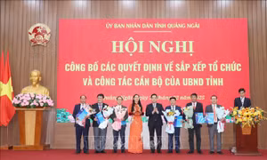 Kiện toàn lãnh đạo bộ máy mới của các sở