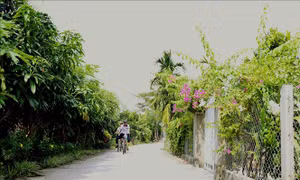 Cần Thơ phấn đấu có 24 xã nông thôn mới nâng cao