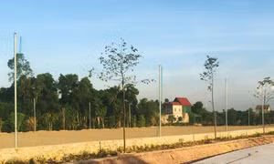 Nhiều hộ dân Hà Tĩnh mòn mỏi chờ cấp Giấy chứng nhận quyền sử dụng đất