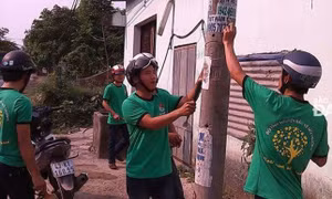 Đà Nẵng 'thưởng nóng' người phát hiện, tố cáo hành vi quảng cáo, rao vặt sai quy định