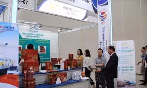 Khai mạc Diễn đàn kinh tế kiều bào toàn cầu lần thứ nhất tại Hàn Quốc 