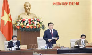 Hình ảnh khai mạc Phiên họp thứ 10 của Uỷ ban Thường vụ Quốc hội